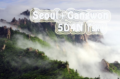 Gangwon+ Seoul Ski Package Tour (5D4N) / USD 650