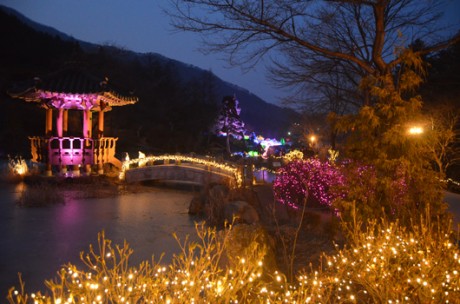 Nami Island+Petite France+The Garden of Morning Calm – Starlight Festival  / USD 60