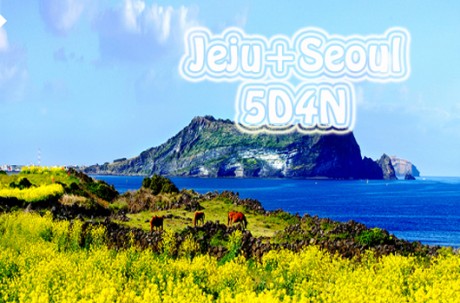 Jeju + Seoul Package Tour (5D4N) / USD 950