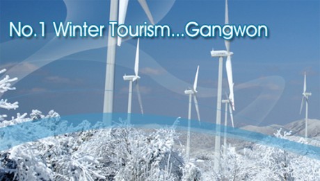 #Info_Festivals in Gangwon Province & Shuttle bus