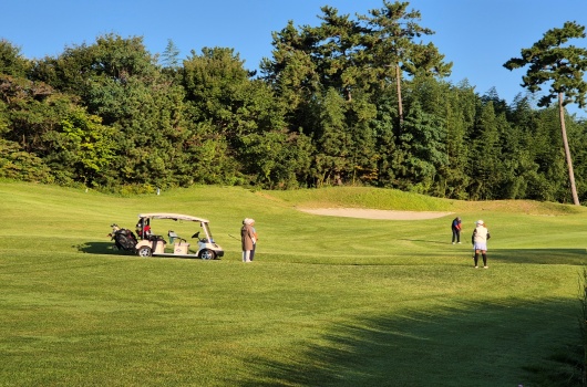 High1_ValleyStandard