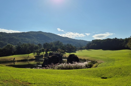 High1_ValleyStandard