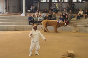 Hahoe Village 20250426 06 r (1)