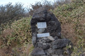 Jeju_ (23)