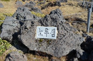 Jeju_ (37)