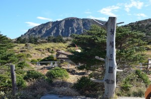 Jeju_ (39)