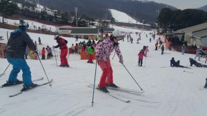 Jisan resort Day tour main9 