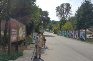 Tour DMZ8
