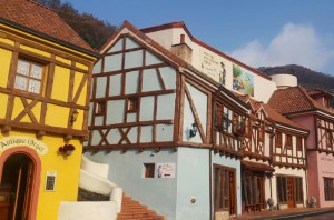 Tour NamiPetiteMorning10      