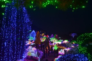 Tour NamiPetiteMorning14      