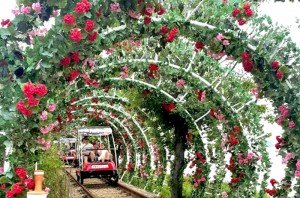 Tour SuwonHwasungForkvillage4                