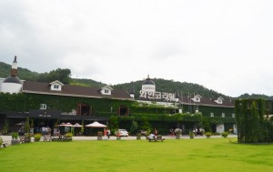 Wine train Tour  (8)