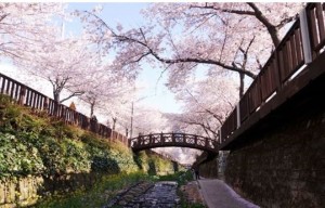 jinhae01