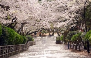 jinhae03