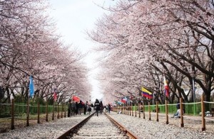 jinhae04