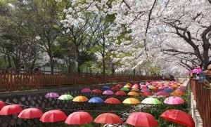 jinhae07
