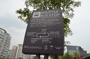 walkerhill_crazyhorse (2)