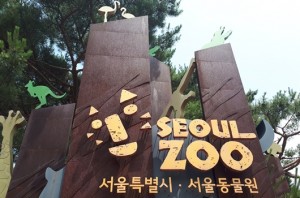 서울동물원02 2
