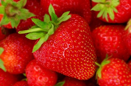 Organic Strawberry Farm (01 Dec ~ 20 May) Ticket