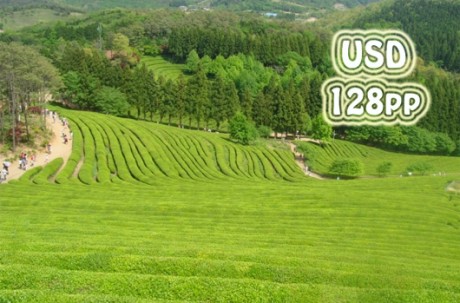 Boseong+Damyang Nature Healing Tour / USD 150