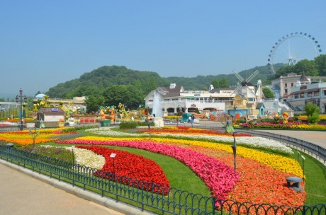 Everland Private Tour (Day pass) / USD 60