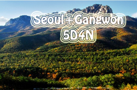 Gangwon+ Seoul Package Tour (5D4N) / USD 700