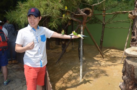 Everland Discounted Ticket