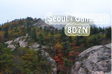 Seoul+Gangwon Package Tour (8D7N ) / USD 1,200