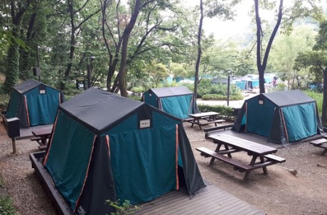 Family Camping + Experience Education + Herb Park (BBQ)