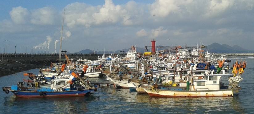 Sea Fishing Tour (Incheon Port)