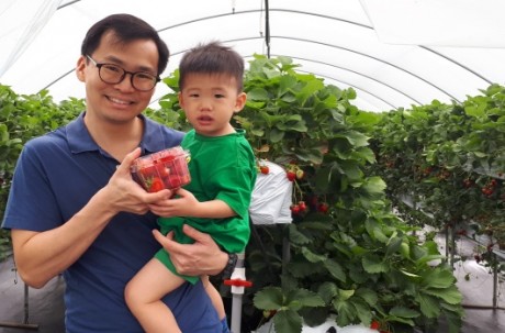 ’25/26 Strawberry picking+Nami Island+Morning Calm (Starlight Festival)