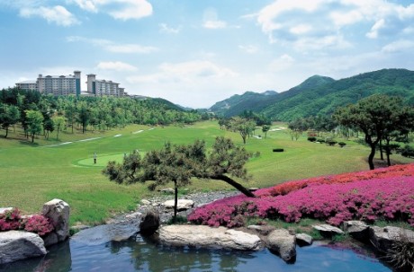 Oak Valley Resort