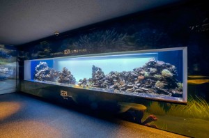 63building aquarium 4