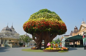 Everland (1)