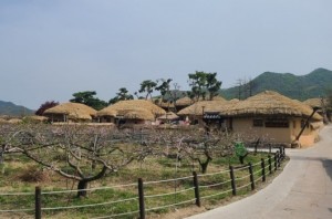 Hahoe Village 20250426 11 r