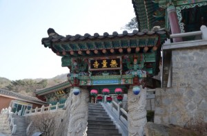bhsnp 09