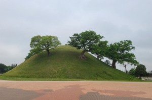 대릉원 20250426 05 r